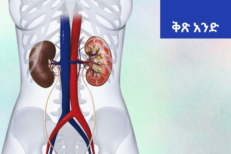 ክፍል አንድ – የሽንት ማስወገጃ ሥርዓት ተግባር (Urinary system)